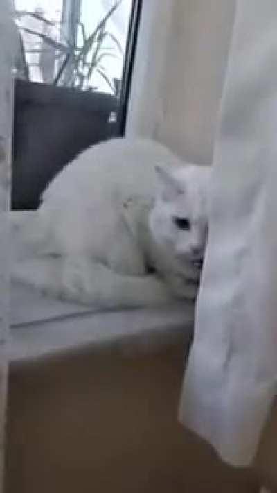 Psikopat mıdır nedir anlamadım ki?