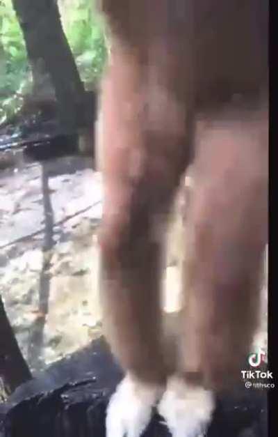 Warming up for Monday.