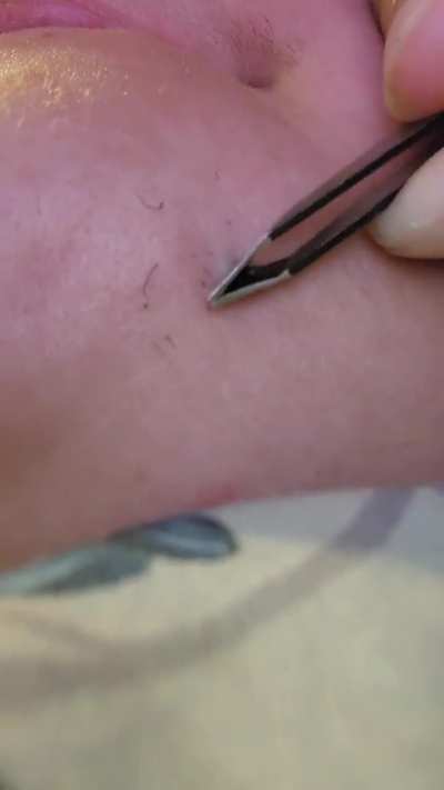 They're a lot longer than they look!