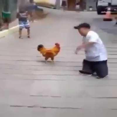 aposto 10 reais no galo