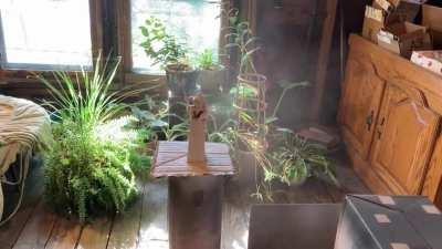 WAHAHA! My quarantine project is finally finished. I sculpted & printed a chess set from scratch! All pieces are characters from the film I am producing.