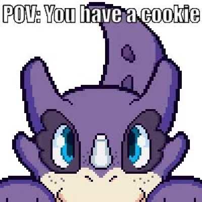cookie_irl