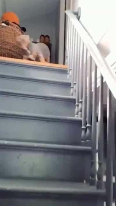 For my cake day I want you all to be happy!