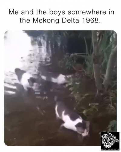 Somewhere in Vietnam today.