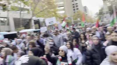 Sydney showing support for the cause! Free Palestine!