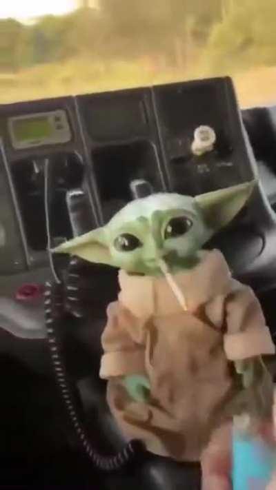 ☘️☘️☘️☘️