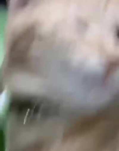 What can I say... 😑😑🐾