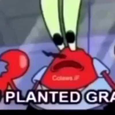 PLANCTON DID WHAT?😳