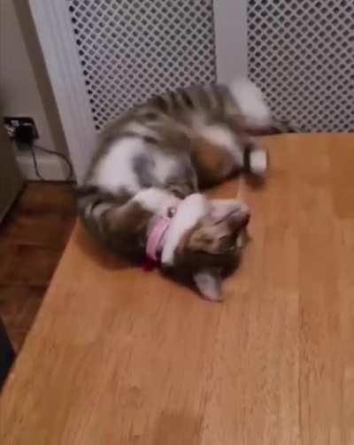 Not a very agile acrobat