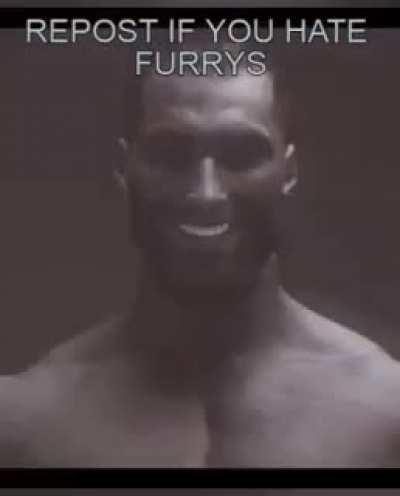 Do I need to say more?