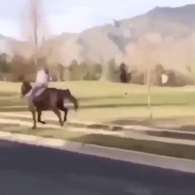 Hereditary-ing yourself on a horse.