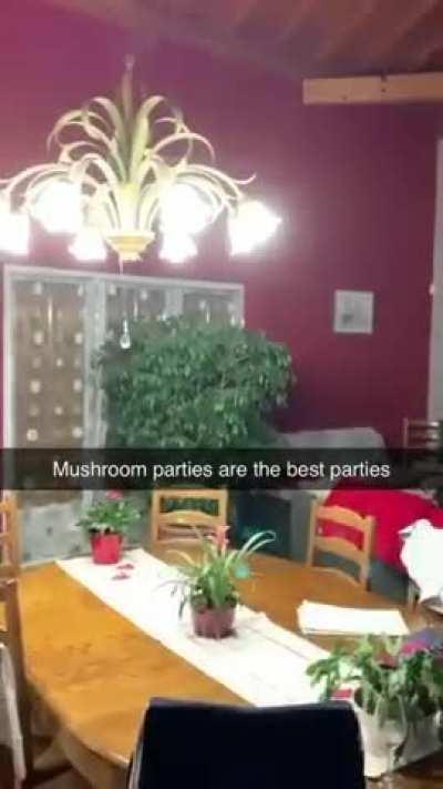 Mashroom Party Is The Best party