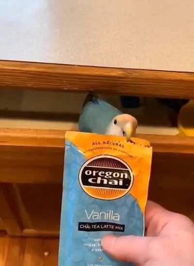Good Bird helps human open package