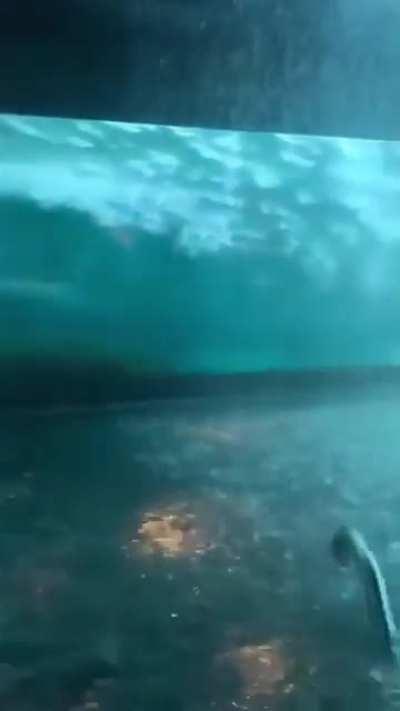 This Storm-Themed Spa Room