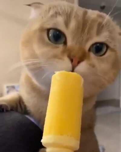 When the going gets good