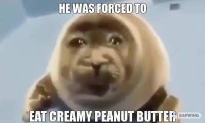 cummy peant buttar😔 😔😔 😔😔😔 😔😔😔😔 😔😔😔😔😔