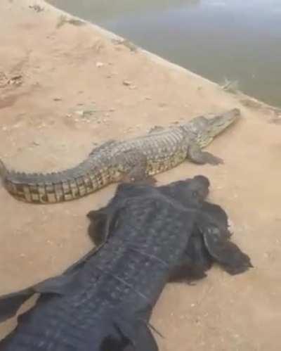 just another day for us guys