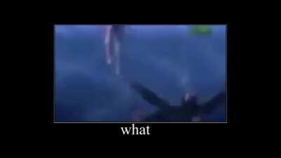 in water chimps will drown