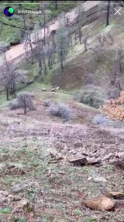 Fuck this tree (found on r/Wellthatsucks)