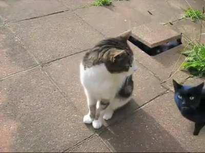 Gente recuerdan a cyriak?