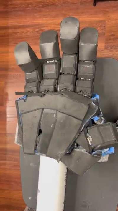 Reinhardt hand prototype test