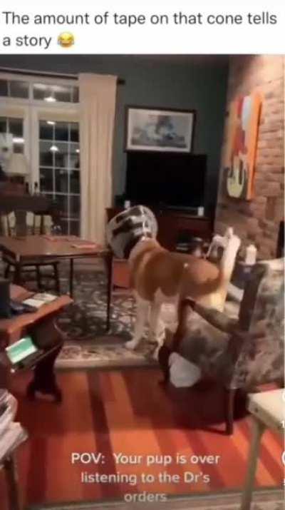 This sub’s new mascot