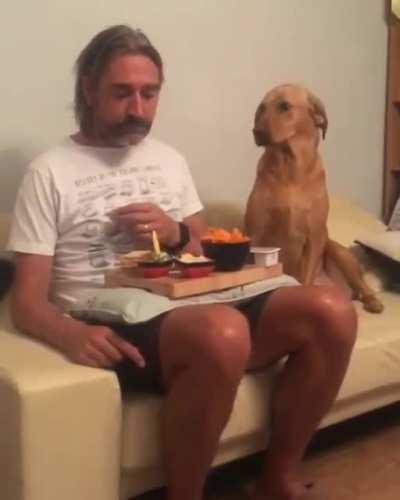 He is not interested in food until he is served