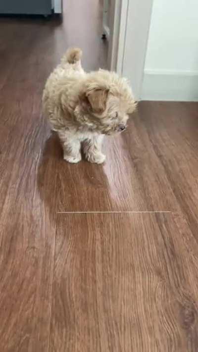 You don’t have a snack for me? I’ll be leaving then.