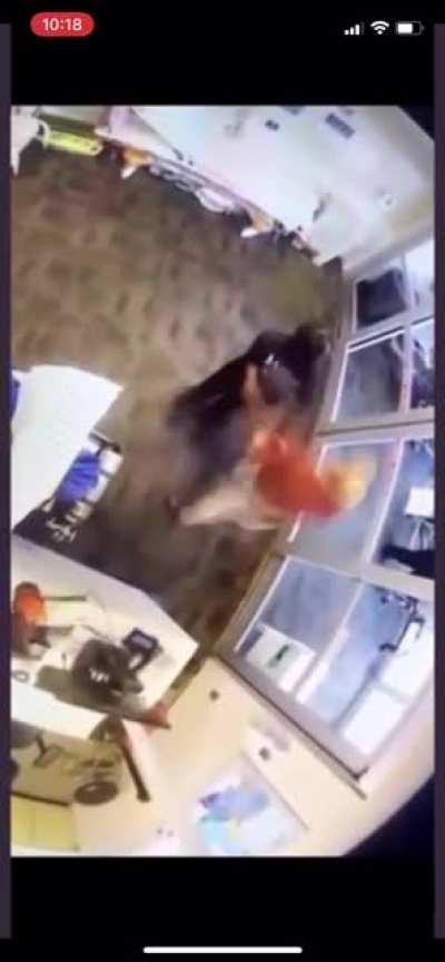 Police parks in ambulance bay. EMT accidentally hits it with ambulance door. Tells cop she'll be back after bringing patient inside. Get violently arrest. Rochester NY