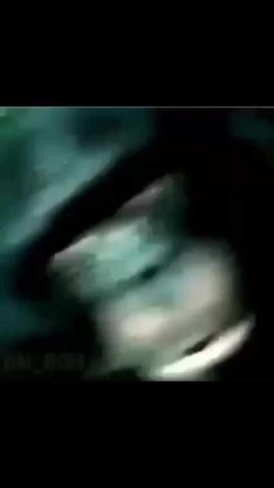 11 of my many memes from my camera roll