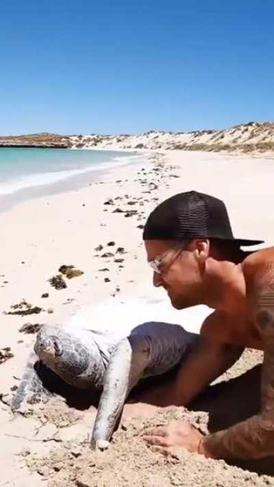 Лежишь себе такой, загораешь