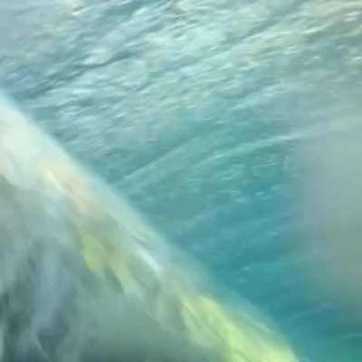 What a wave looks like under water.