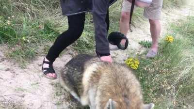 HMC while I take a walk along the beach after an afternoon at the pub