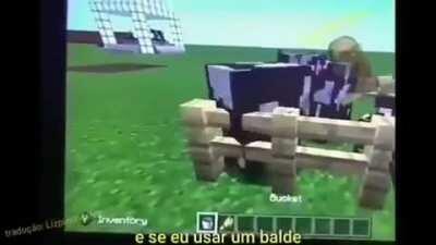 Qual seria o verdadeiro? sim , sua irmã