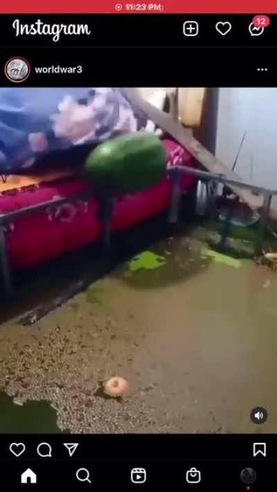 How y’all feel about this environment ?