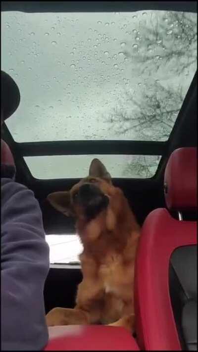 Very important conversation