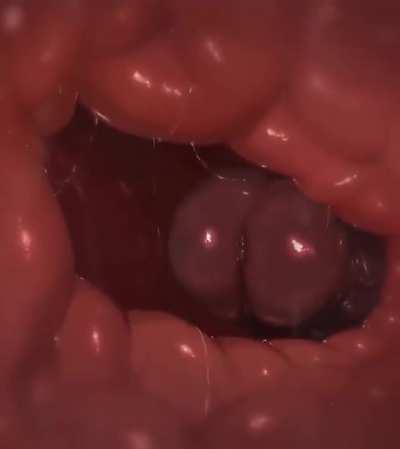 Tasque Manager [MF] (Whisperingfornothing)