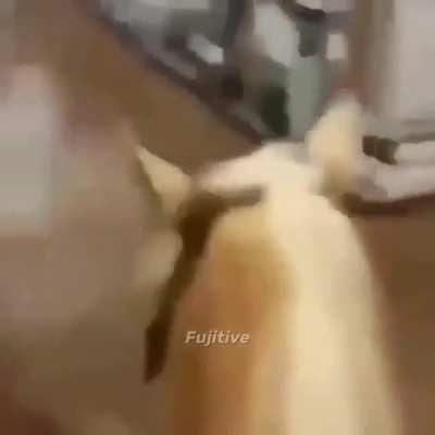 we in low prices baby😶🐴👽