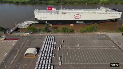 As&iacute; se descargaron los 5.800 veh&iacute;culos h&iacute;bridos y el&eacute;ctricos, el embarque de veh&iacute;culos importados m&aacute;s grande de la historia Argentina