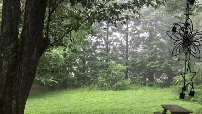 Western North Carolina thunderstorm.