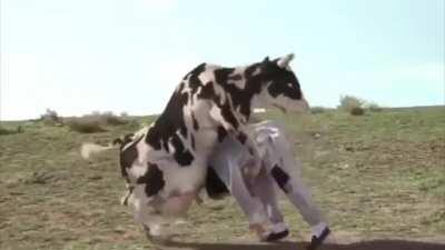 Tremenda joyita 😎👌