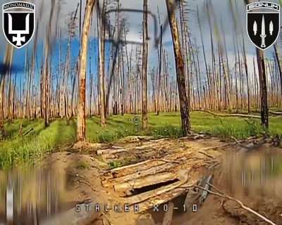 Ukrainian fiber optic drones destroyed multiple Russian dugouts in the Serebryansky forest. Lyman direction. SIGNUM Battalion. June 2025 [Published 05.06.2025]