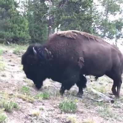 Parents saving themselves meanwhile leaving their daughter behind