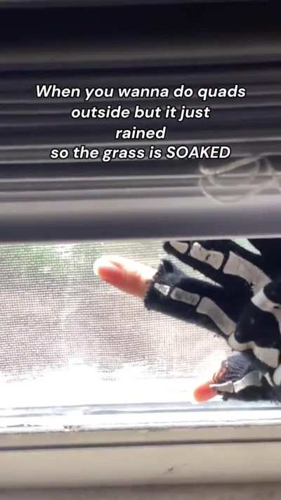 Does this belong here or somewhere else? Anyways here’s a quad meme I made