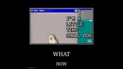 Wilbur Soot turns into a dog