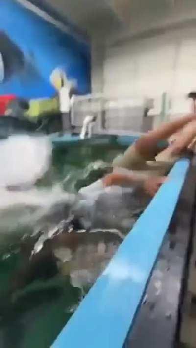 Fish-Butthead Vs Dumb Human = Instant KO 💀