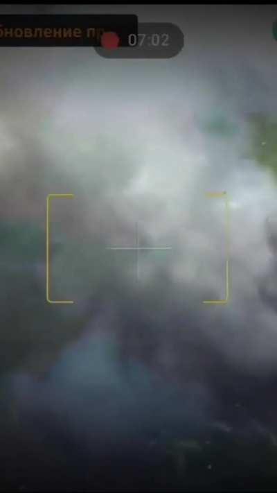 Daily routine of the 