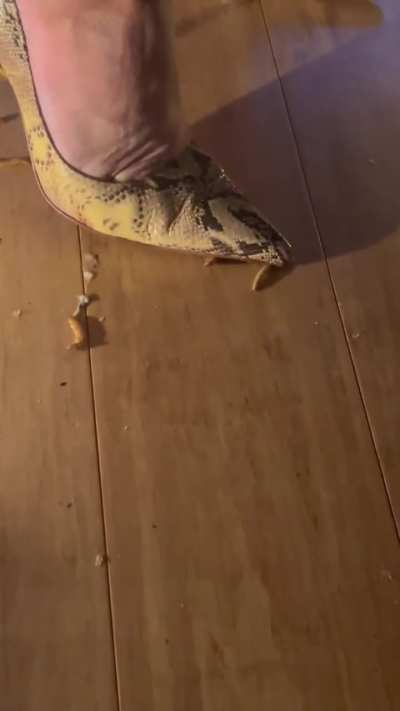 Giving your life for her sexual pleasure… What a way to go.