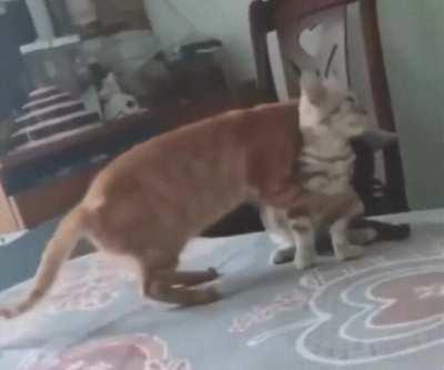 Hey..... You look like you could use a hug.