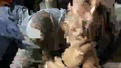 Free unlocked premium videos